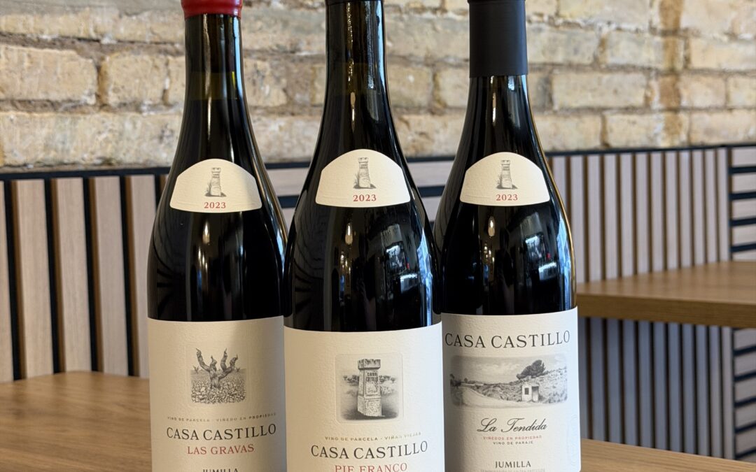 Los mejores Vinos
